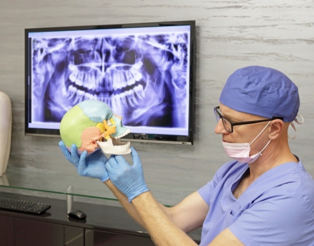 Dentist looking at model of human skull